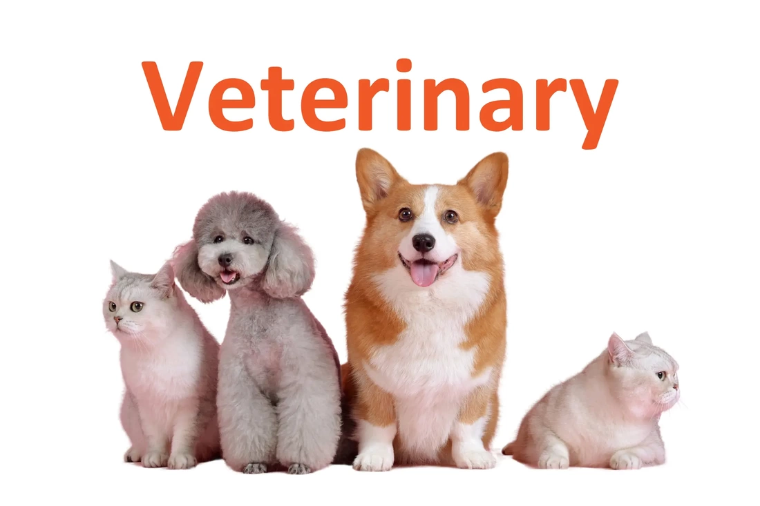Veterinary Pets Compounding